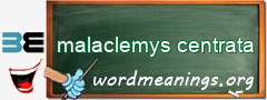 WordMeaning blackboard for malaclemys centrata